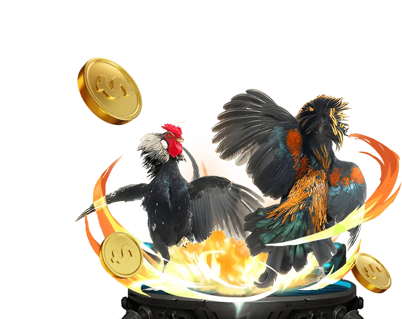 Chiến lược chơi máy đánh bạc